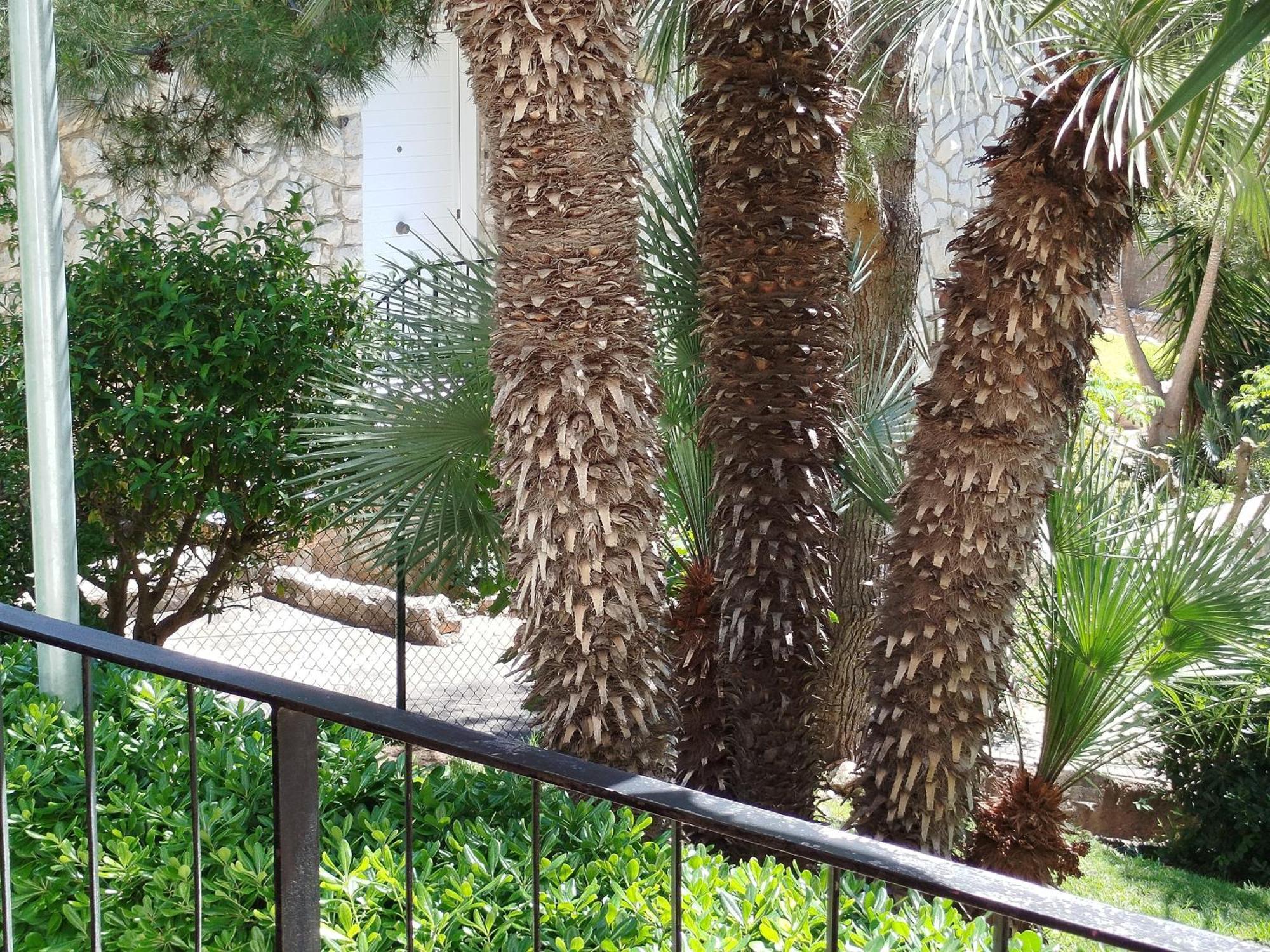 Brisa Del Mar Daire Salou Dış mekan fotoğraf